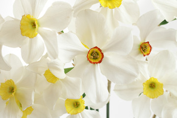 Fototapeta na wymiar Bouquet of white narcissus