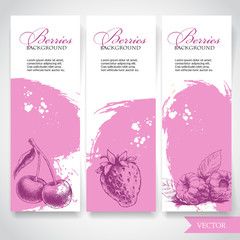 Organic eco berries banners. Hand drawn berries. Cherry, strawberry and raspberry on rough pink watercolor background with white splashes. Vector berries illustration.