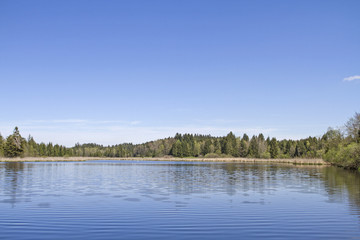 Mooshamer Weiher in der Spatenbräufilze