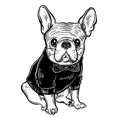 Cute vector illustration with French bulldog. A domestic dog in clothes and a butterfly. Fashionable bulldog.