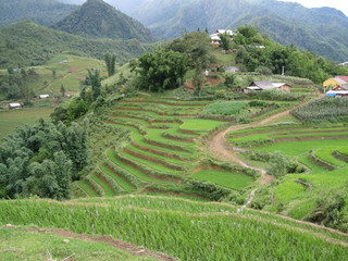 Sapa