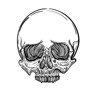 Vector illustration with a human skull. Gothic brutal skull. For print t-shirts or book coloring.