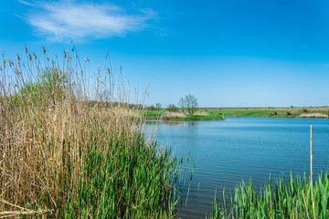 Чистая вода весеннего озера и ясное голубое небо