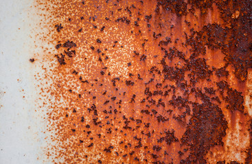 Corrosion of old steel sheet