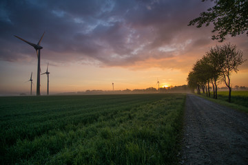 wind wheels at sunrise and fog with dark clouds