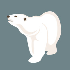 polar bear vector illustration style Flat