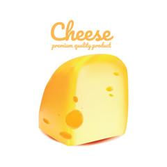 Cheese realistic isolated, Cheese Vector illustration