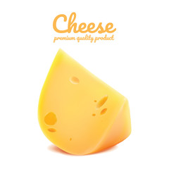 Cheeses slice isolated on white background. Cheese half realistic