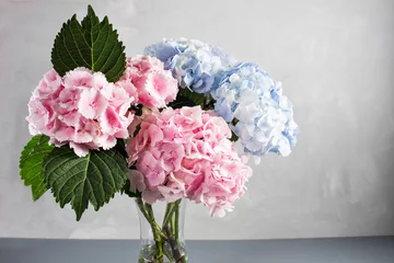 Crédence de cuisine en verre imprimé Hortensia hortensias dans un vase en verre. Les hortensias produisent des têtes de balai plus grosses composées de grappes de petites fleurs de l& 39 été à l& 39 automne.