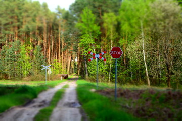 przejazd kolejowy w lesie © robert6666