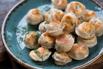 Close-up of fried russian meat dumplings pelmeni served on a turquoise plate, selective focus, studio shot