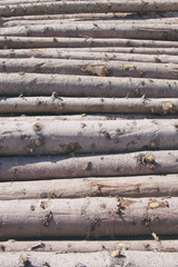 Storage of logs. Logging.