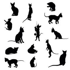 Set of cats silhouettes