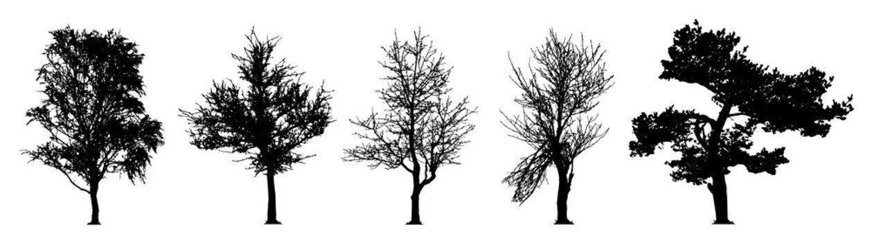 tree silhouette vector set