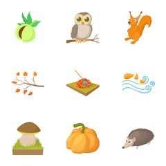 Season of year autumn icons set, cartoon style