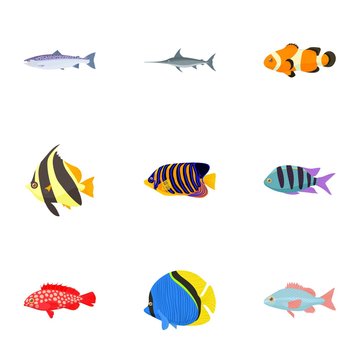 Marine fish icons set, cartoon style