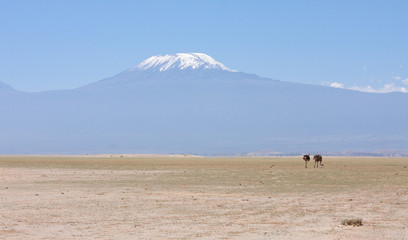 Fototapeta na wymiar Kilimangiaro