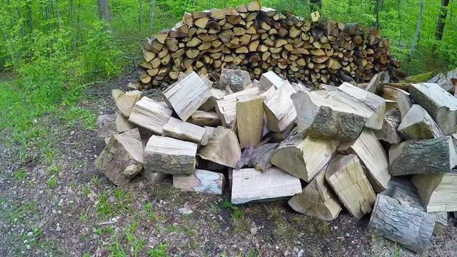 Brennholz im Wald