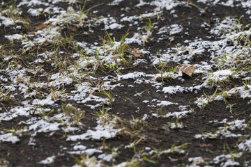 Texture of the earth and snow