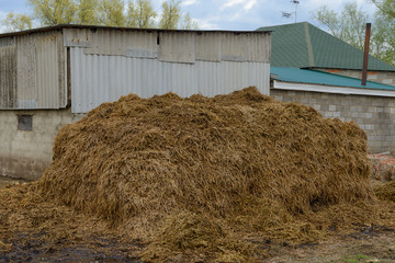 Pile of manure in front of a barn