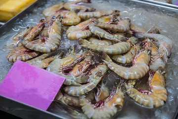 shrimp in ice
