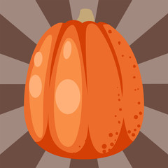 Fresh orange pumpkin decorative seasonal ripe food organic healthy vegetarian vegetable vector