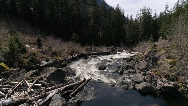 Fresh Water Stream Drone Perspective on Sunny Spring Day in Washington State Great Outdoors