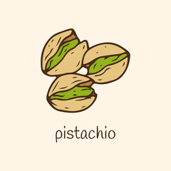 Pistachio vector illustration. Hand drawn pistachio  icon
