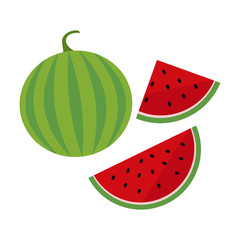 Watermelon vector illustration. Slices of watermelon. Flat design