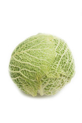 Brassica oleracea. Cavolo verza isolato su sfondo bianco