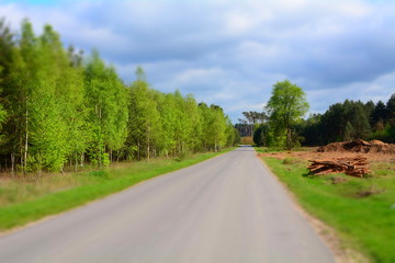 Fototapeta na wymiar droga asfaltowa przez las