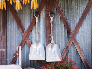 Fototapeta na wymiar Two shovels hanging on corrugated iron wall