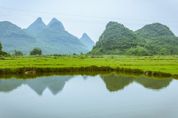 The countryside scenery in summer 