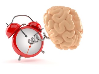 Brain with alarm clock