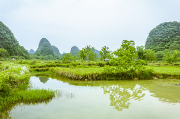 Fototapeta premium The countryside scenery in summer 