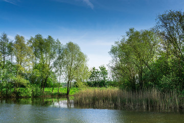 Nature conservation area with trees a small lake at sunshine and blue sky