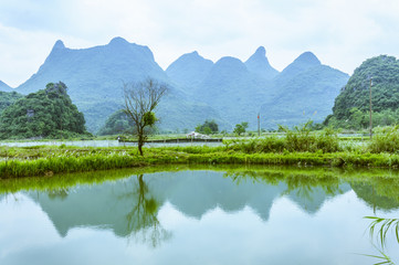 The countryside scenery in summer