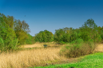 Nature conservation area with trees a small lake at sunshine and blue sky