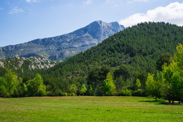 Fototapeta na wymiar Paysage avec la Montagne Sainte Victoire en Provence au printemps. France.
