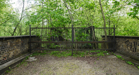 Eisentor zur grünen Wildnis