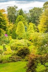 Colorful trees, including Japanese Maples, showing many shades of green.