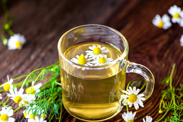 Tee - Echte Kamille - Kamillentee - Blüten - Kräuter - Naturheilkunde - Matricaria chamomilla
