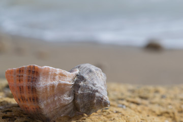 sunny mood of the sea