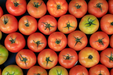 Group of ripe fresh red tomatoes on a market