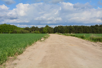 droga przez pola i las