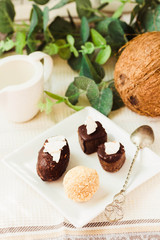 Homemade raw chocolate candy, bounty, Raffaello..Healthy vegan dessert