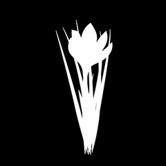 Hand drawn crocus flowers. Elegant vintage card. Black and white silhouette. Vector illustration.