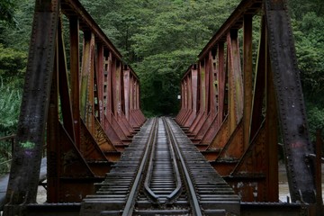 Bridge and train tracks leading into the forest and abyss beyond. 