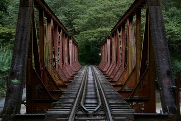 Foto op Canvas Bridge and train tracks leading into the forest and abyss beyond.  © mat_millard