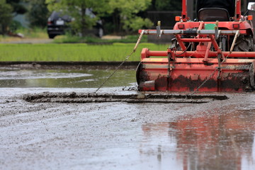 Fototapeta premium Japanese rice field in spring time